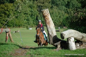 cce_foucheraie_20102013_025