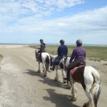 3 jours en Baie du Mont-Saint-Michel (06-09 juin 2014)